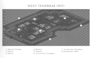 Map of West Tenebrae, from Pentology: Ultima VIII Cluebook. It is missing Shaana (5) at the southeastern house.
