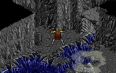 The Mystery Cave